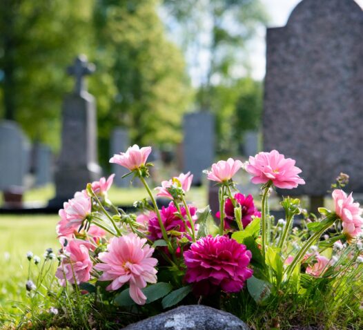 Gravsten med rosa och lila blommor i förgrunden på kyrkogård.