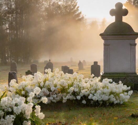 Gravstenar omgivna av dimma och vita blommor på en kyrkogård i soluppgången.