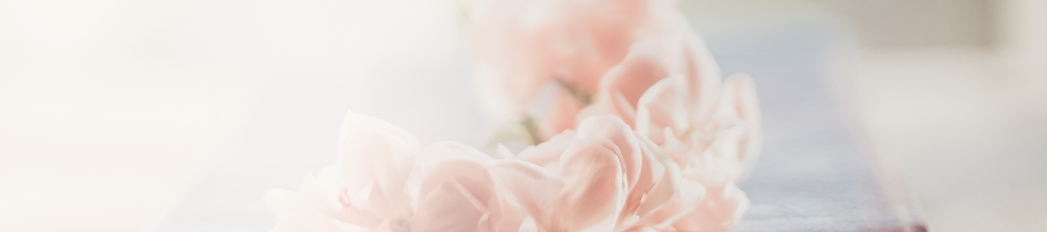 Närbild av mjuka rosa blommor i ett suddigt ljus.